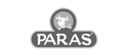 22 client logo paras